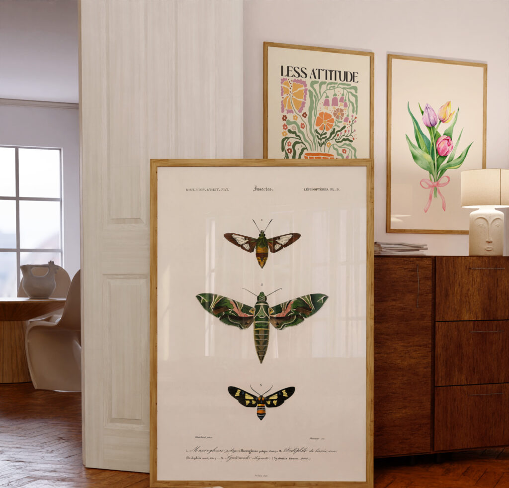 moth insect wall art